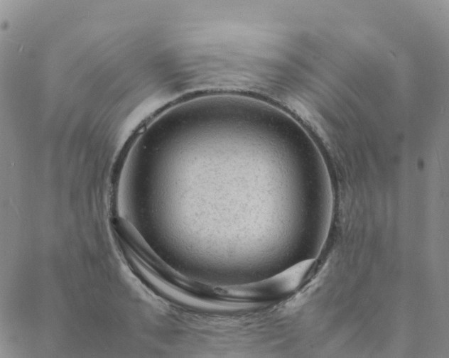 X0000088031085200705182019