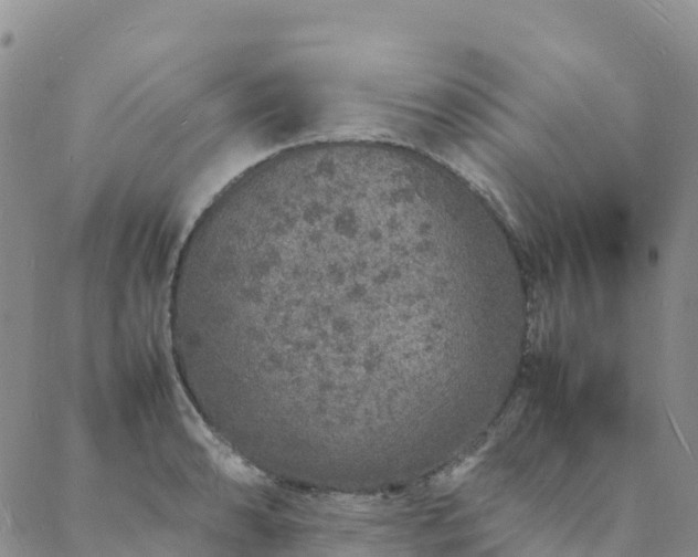 X0000088031086200705182019