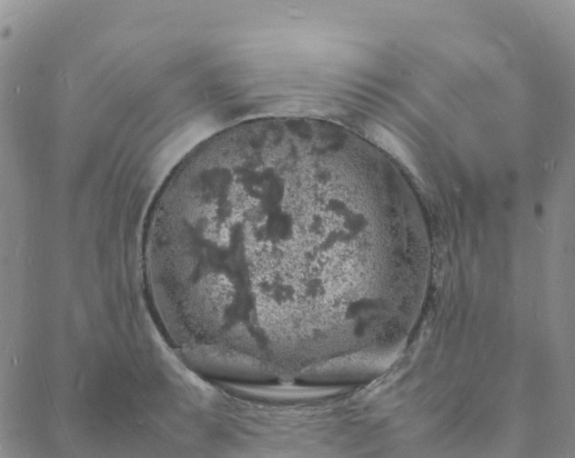 X0000088031087200705182019