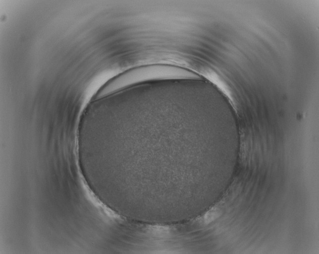 X0000088031088200705182019