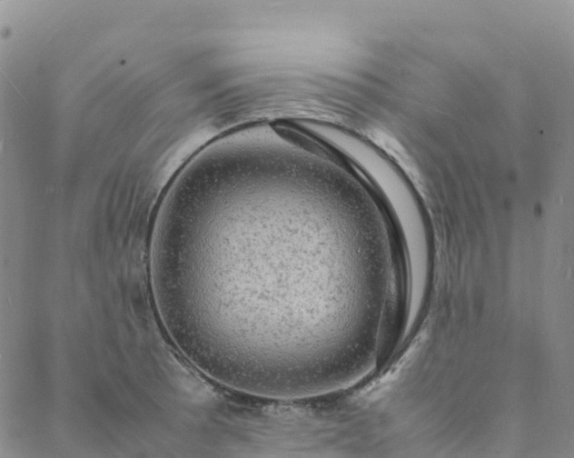 X0000088031089200705182019