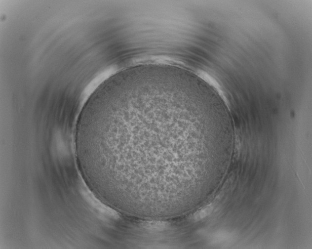 X0000088031090200705182019