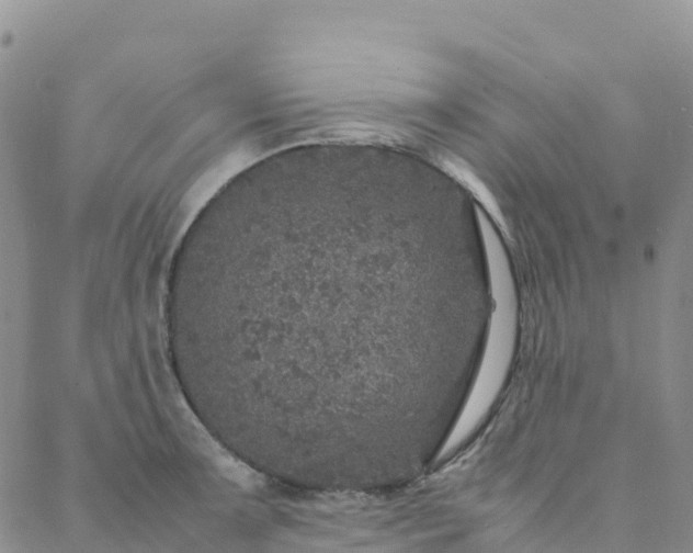 X0000088031091200705182019