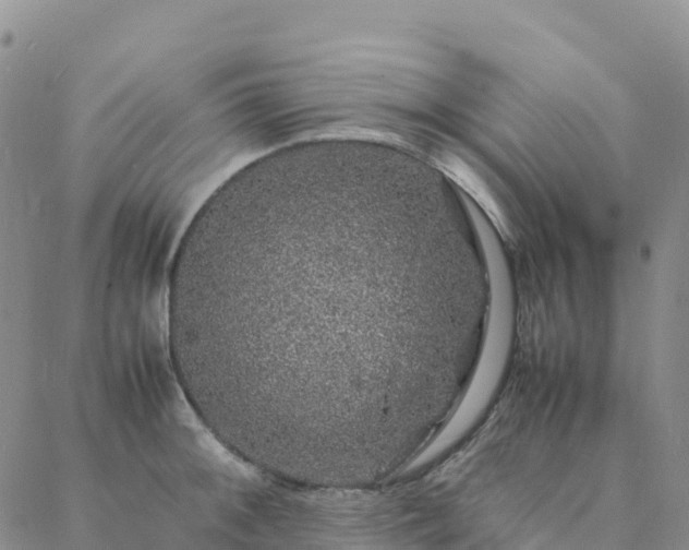 X0000088031092200705182019