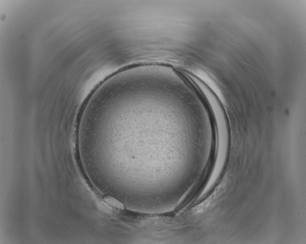 X0000088031093200705182019