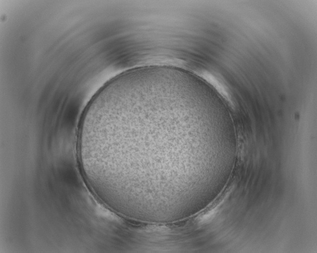 X0000088031094200705182019