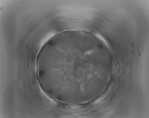 X0000088031095200705182019