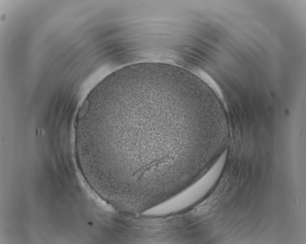 X0000088031096200705182019