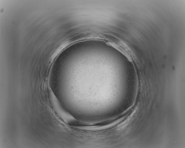 X0000088031097200705182019