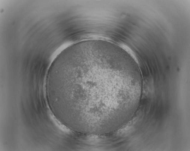 X0000088031098200705182019