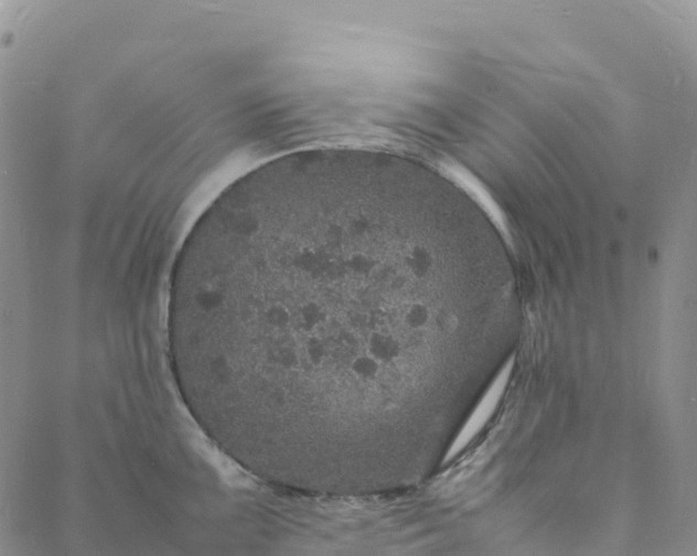 X0000088031099200705182019