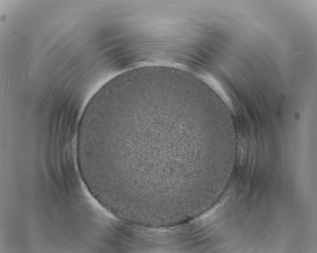 X0000088031100200705182019