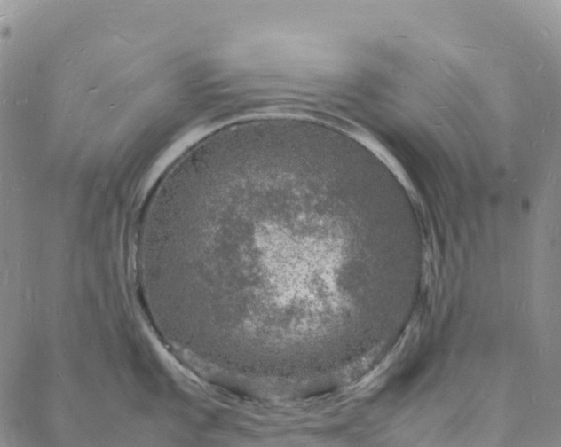 X0000088031101200705182019