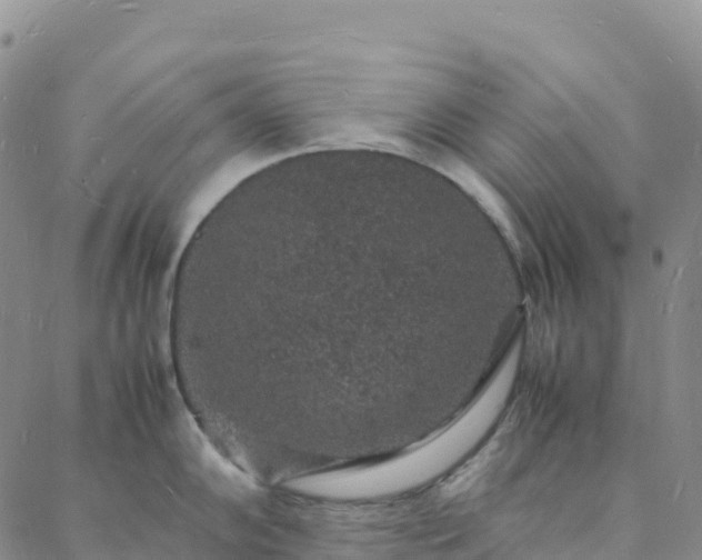 X0000088031102200705182019