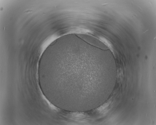 X0000088031103200705182019