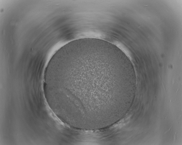 X0000088031104200705182019