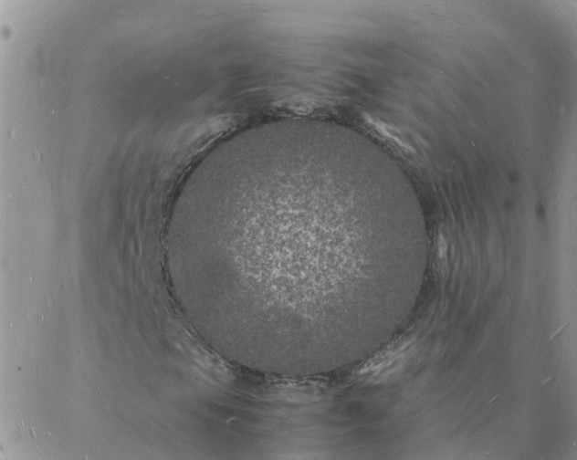 X0000088031105200705182018