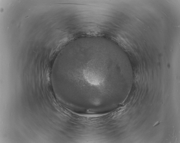 X0000088031106200705182018