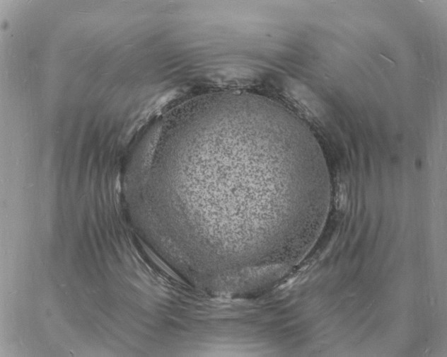 X0000088031108200705182018