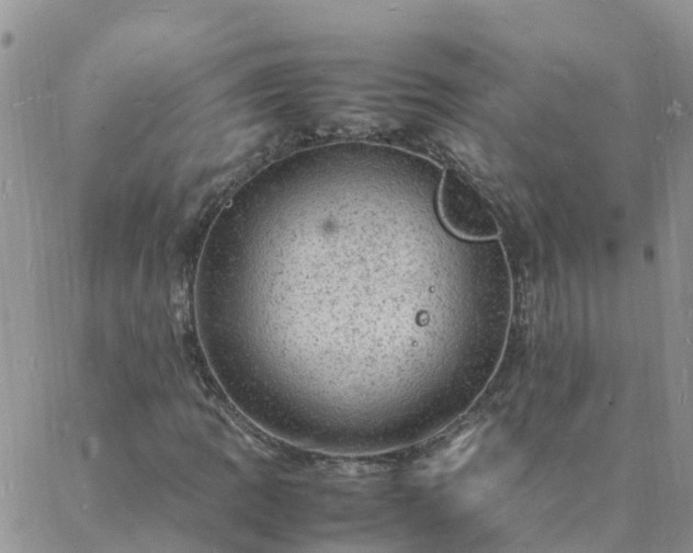 X0000088031109200705182018