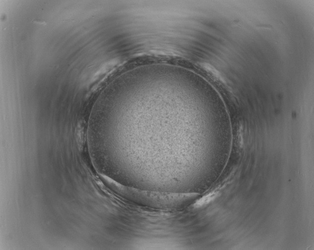 X0000088031110200705182018