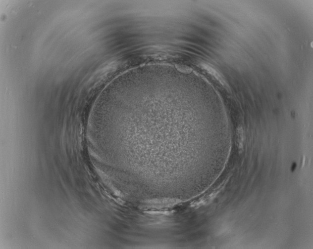 X0000088031111200705182018