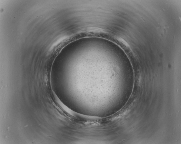 X0000088031112200705182018