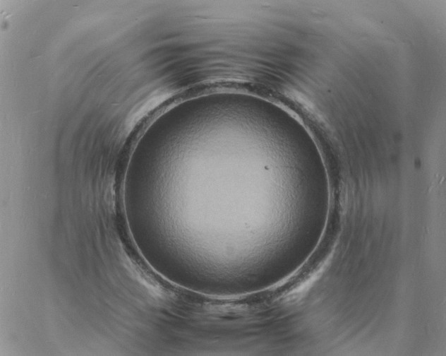 X0000088031113200705182018