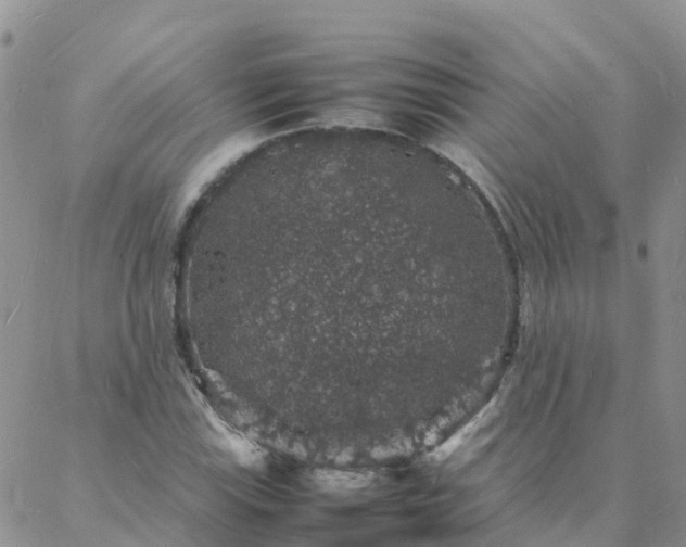 X0000088031115200705182018