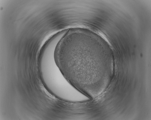 X0000088031116200705182018