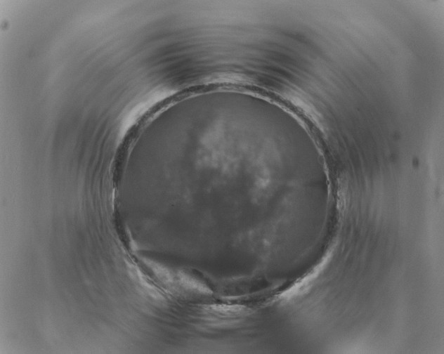 X0000088031117200705182018