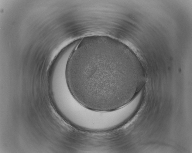 X0000088031118200705182018