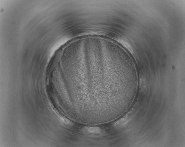 X0000088031119200705182018