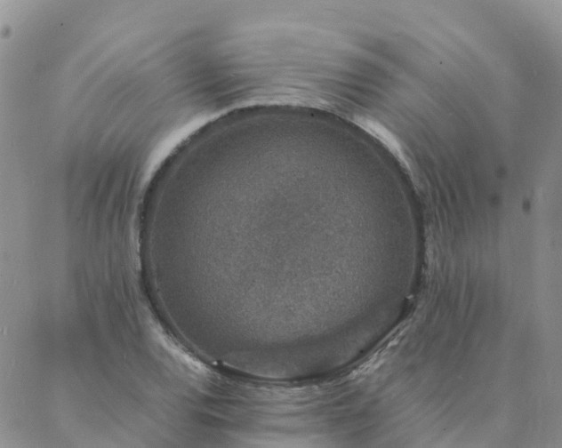 X0000088031120200705182018