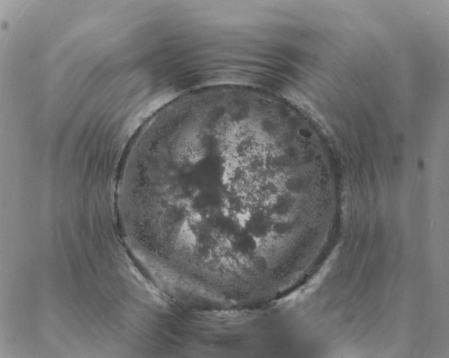 X0000088031121200705182018