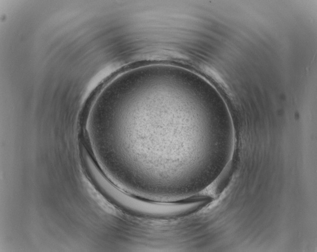 X0000088031122200705182018