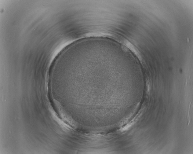 X0000088031124200705182019