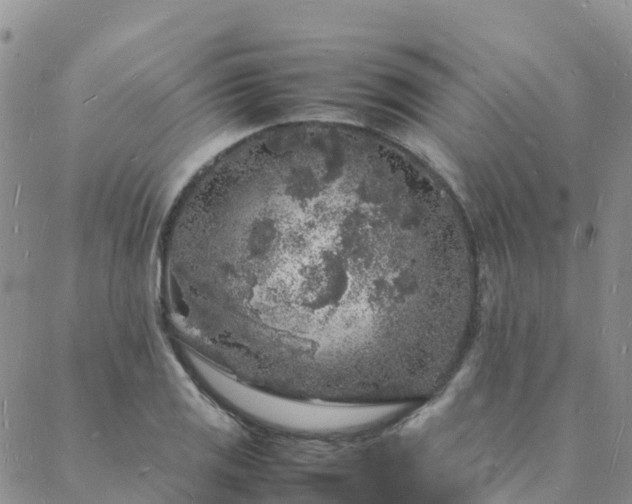 X0000088031125200705182019