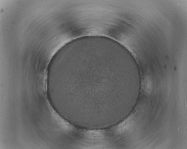 X0000088031126200705182019