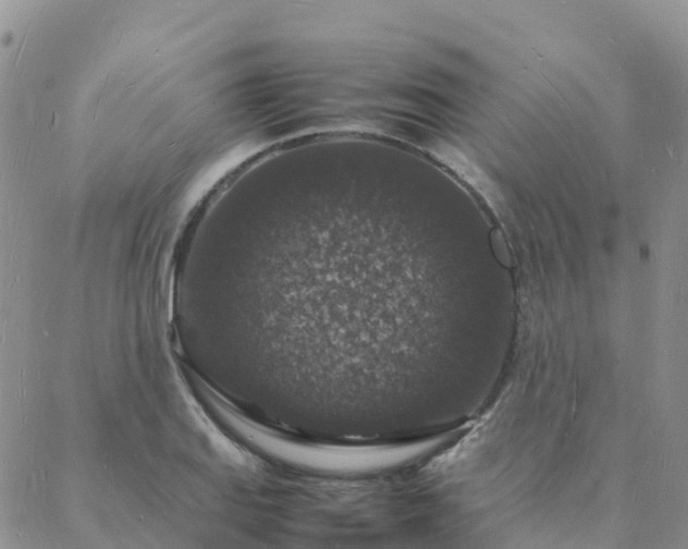 X0000088031127200705182019