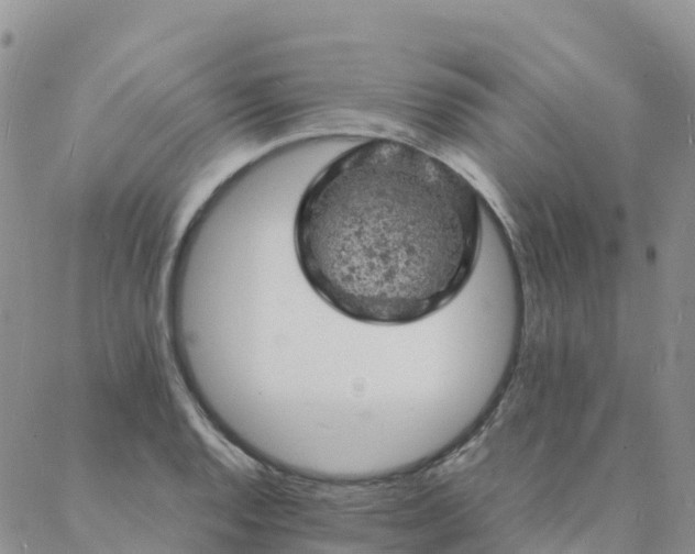 X0000088031128200705182019