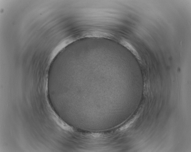 X0000088031130200705182019