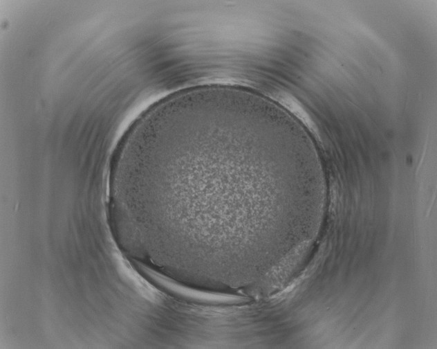 X0000088031132200705182019