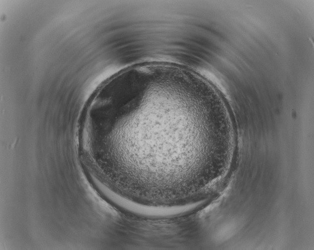 X0000088031133200705182019