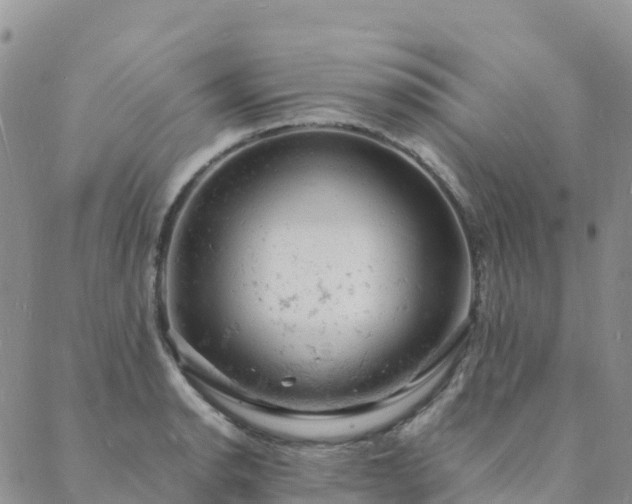 X0000088031134200705182019