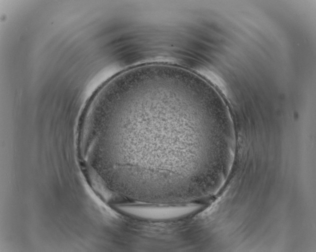 X0000088031135200705182019