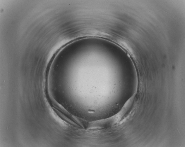 X0000088031136200705182019