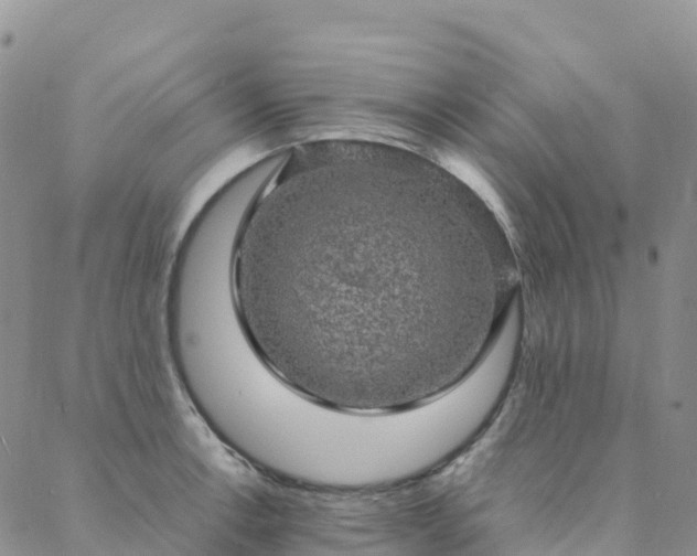 X0000088031138200705182019