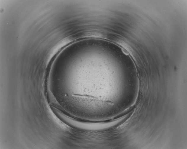 X0000088031139200705182019