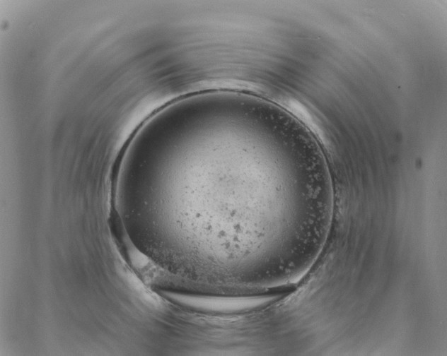 X0000088031140200705182019